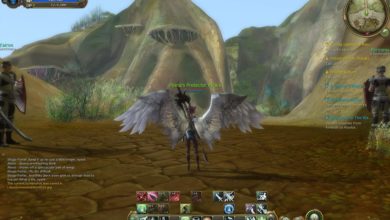 Photo of Recommended Best MMORPG & MMO Games For PvE