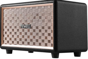 TEWELL Computer Speaker