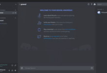 Photo of Why Are My Friends So Quiet On Discord?
