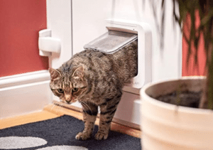 SureFlap - Sure Petcare Microchip Cat Flap